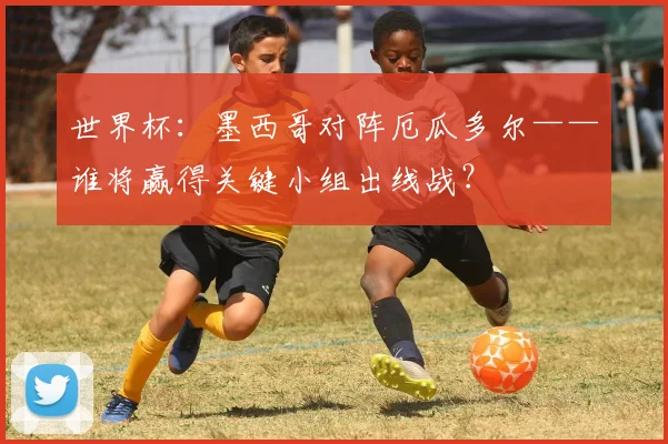 世界杯：墨西哥对阵厄瓜多尔——谁将赢得关键小组出线战？